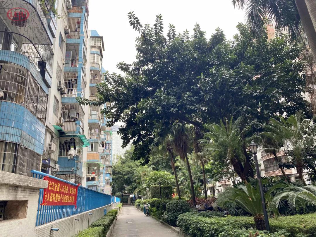 “香饽饽”琶洲：二手房有超10万+，也有3字头