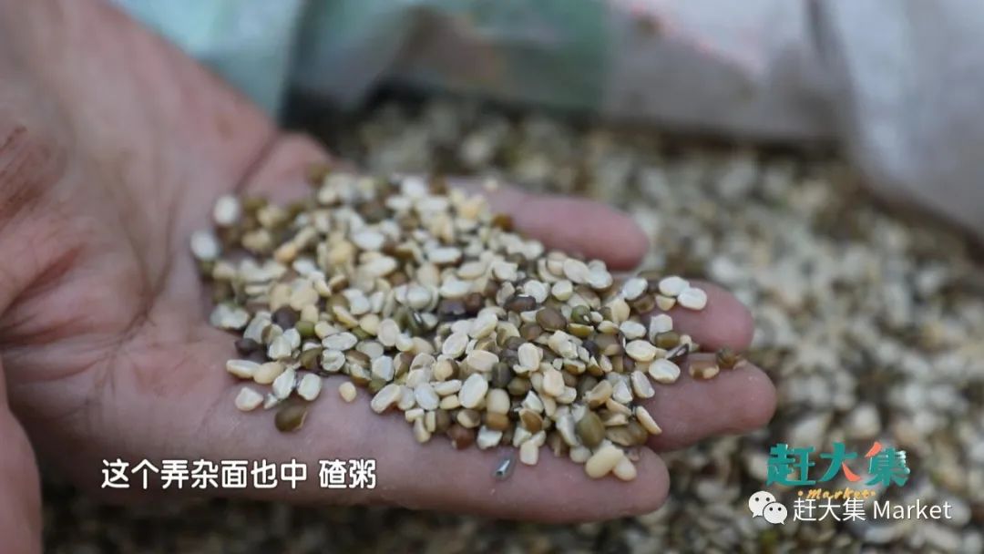 天津都市频道赶大集宁河,天津都市频道赶大集卷凉皮