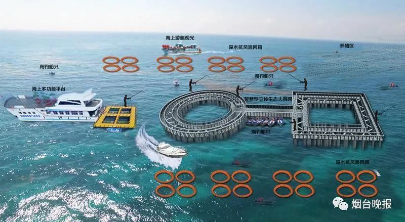 烟台精品野海参多少钱,荣成海洋牧场海参