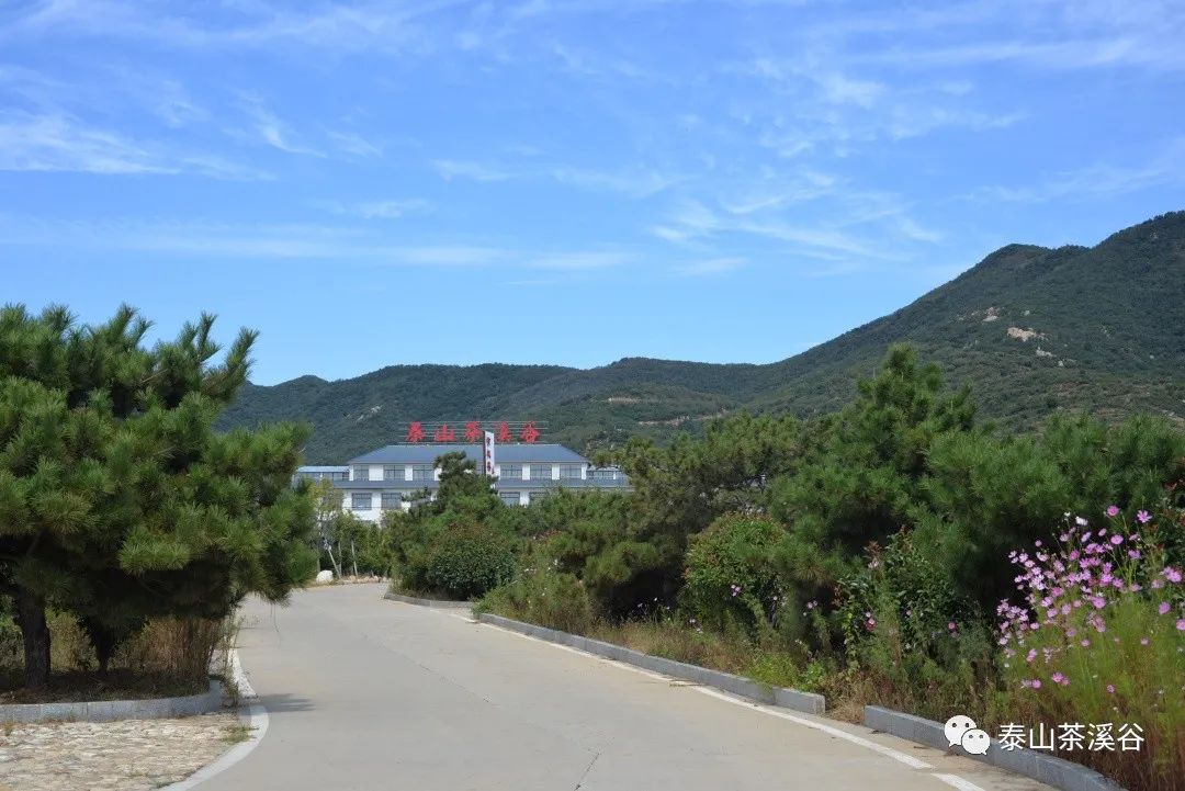 美如桃源！藏在*安泰**里的“神仙美宿”，带你睡进诗画里……