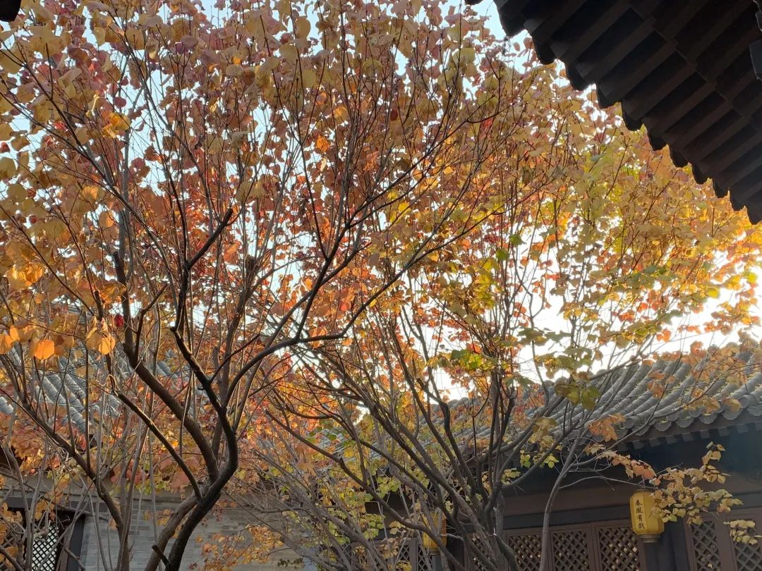 北京浪漫又好看的风景餐厅,北京适合夏天去的餐厅