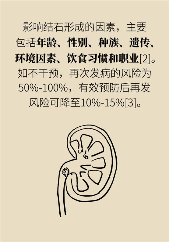 结石发作吃什么能缓解,结石每天都痛怎么办