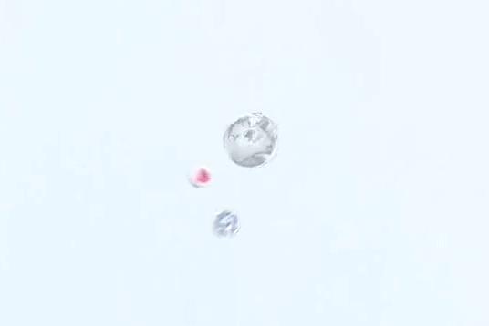 美白素颜霜遮瑕懒人伪素颜,真心不错的一款懒人素颜霜