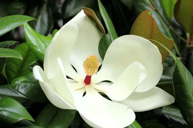 来吧！带你畅游这诗意工贸|文末有重磅福利