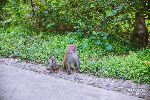 海南环岛旅行需要多少天,去海南过冬天去哪里最好