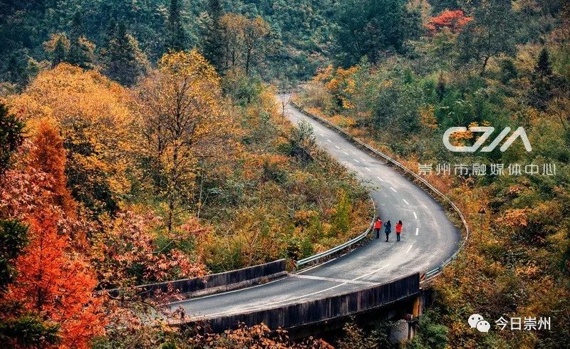 初秋彩林成都周边秘境,成都附近彩林秘境