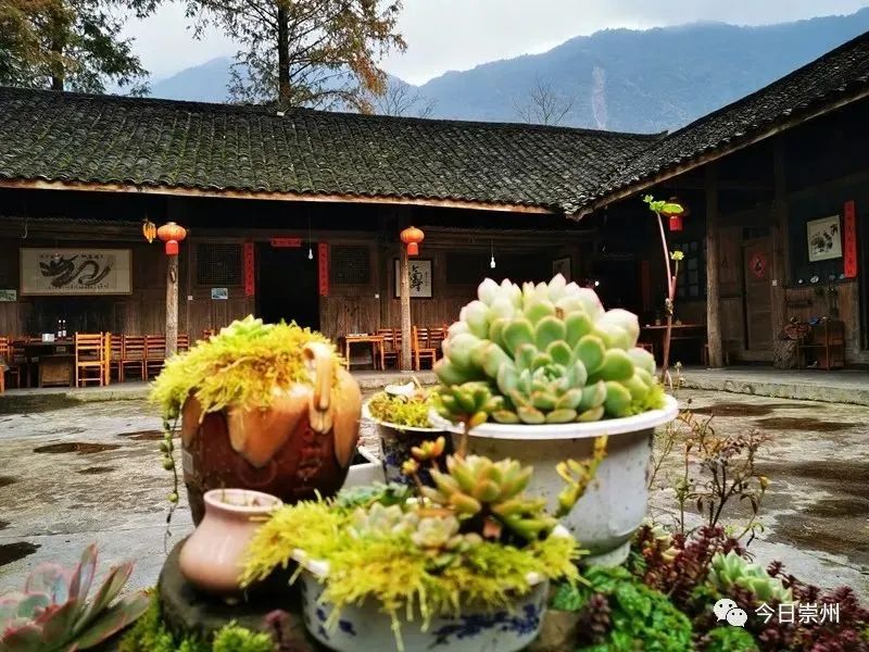 初秋彩林成都周边秘境,成都附近彩林秘境