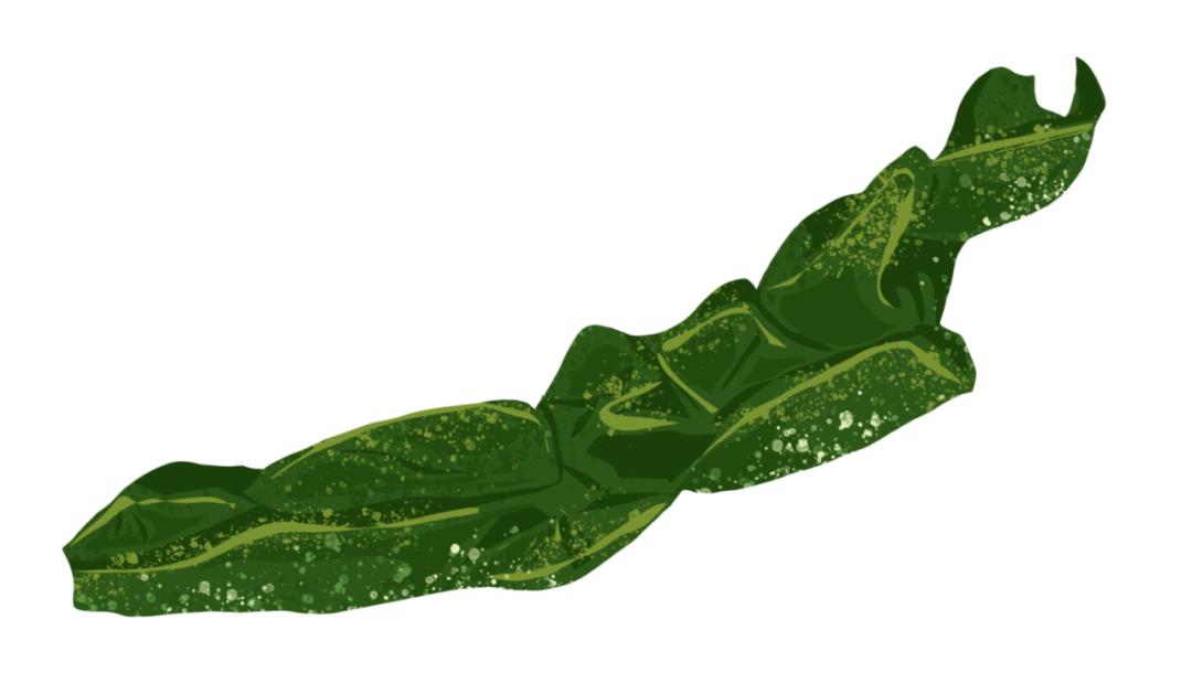 味精吃多了有哪些危害和后果,味精吃多了会致癌吗