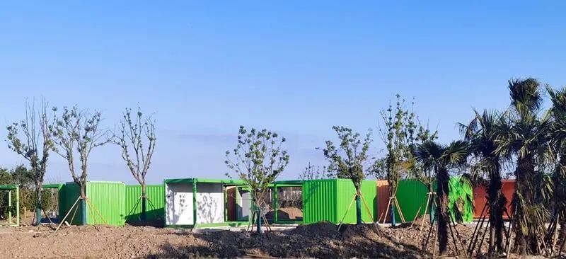 【提示】两棵“大树”迎宾！花博园主入口大门钢结构吊装完成