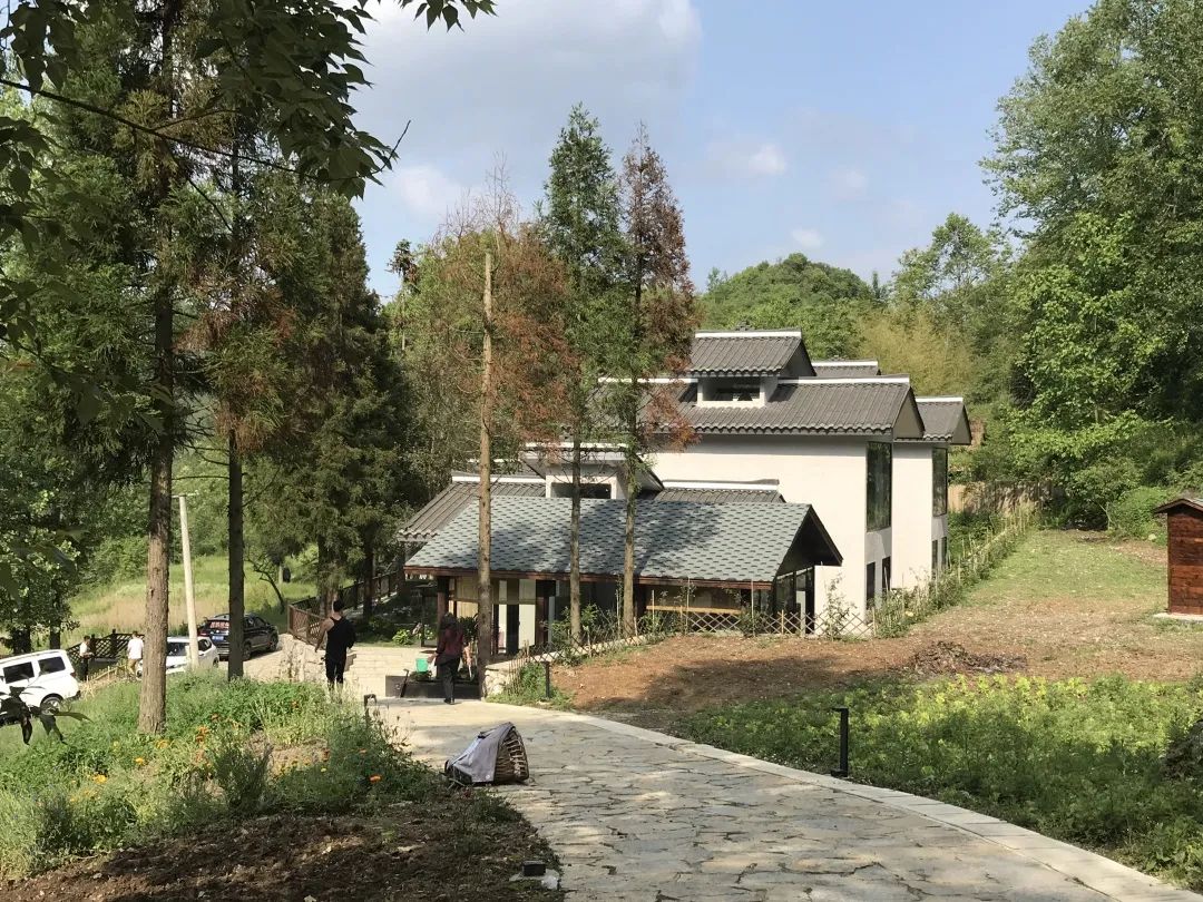 百里杜鹃民宿推荐,贵州百里杜鹃附近民宿