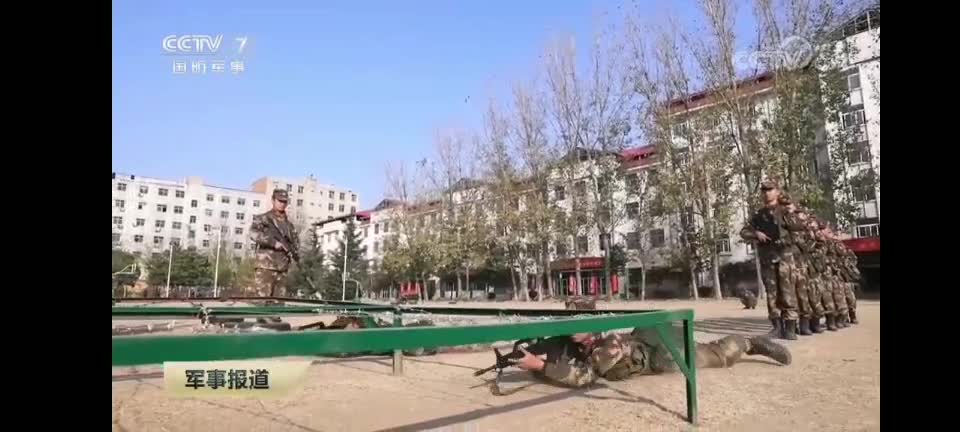 宁波的双胞胎,这对双胞胎