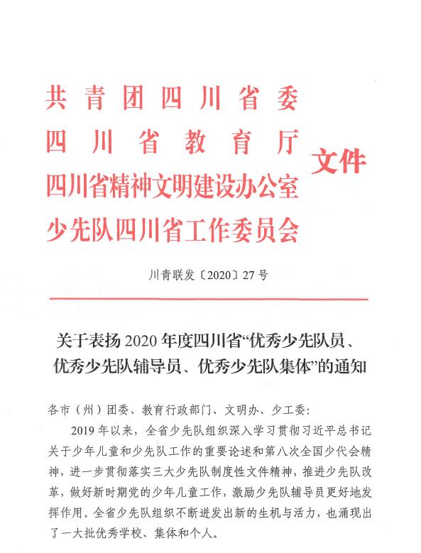 少先队三优秀是哪三优,四川省2020优秀少先队员评选表格