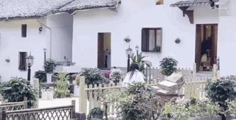 这一次，我终于看清了双十一