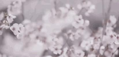 百元也可以买奢侈品,国内专柜版和海外直采哪个好