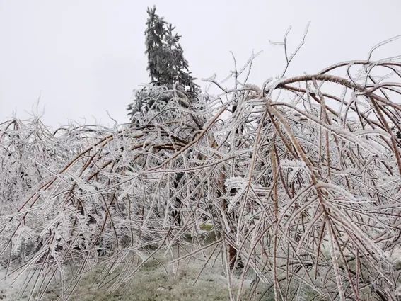 延边滑雪东北已率先进入雪季,延边开启滑雪季快来嗨翻冬天