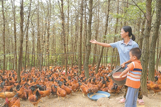 力克难中之难交出完美答卷｜广西脱贫攻坚收官特别报道