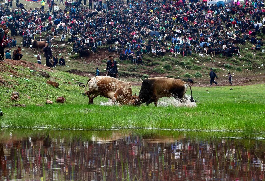 彝历新年这些习俗有讲究！