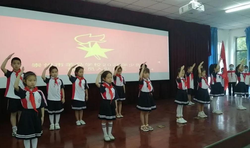 少先队三优秀是哪三优,四川省2020优秀少先队员评选表格