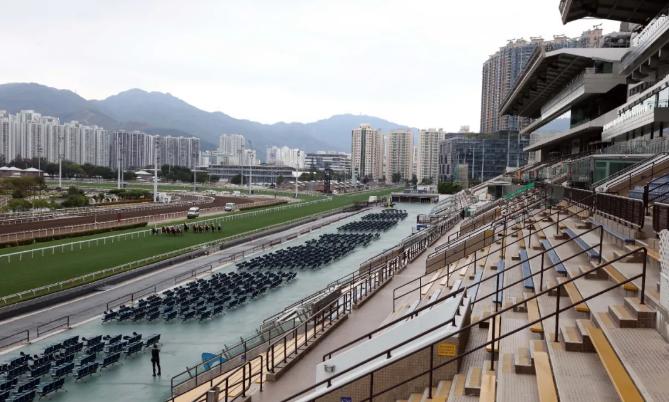 著名练马师岳伯仁遣五驹出赛,香港国际赛参赛马名单出炉