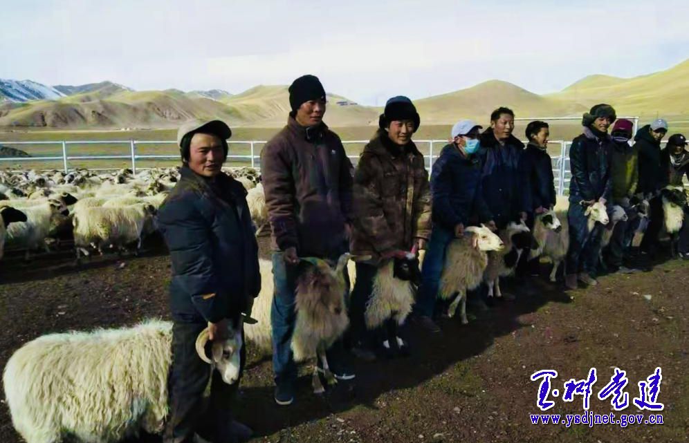 曲麻莱县：千里之外的“雪域情”