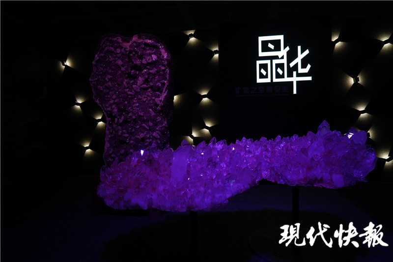 金枝玉叶文创产品南博,南博玉展