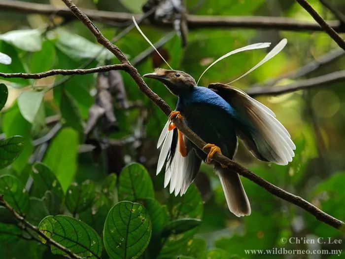 比起停在原地慢慢老去，我宁愿选择出发丨单读