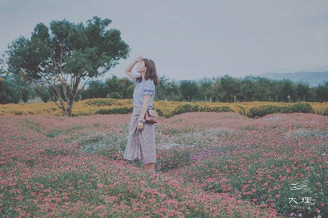 长沙自驾去大理多少钱,生活需要惊喜自驾直奔大理