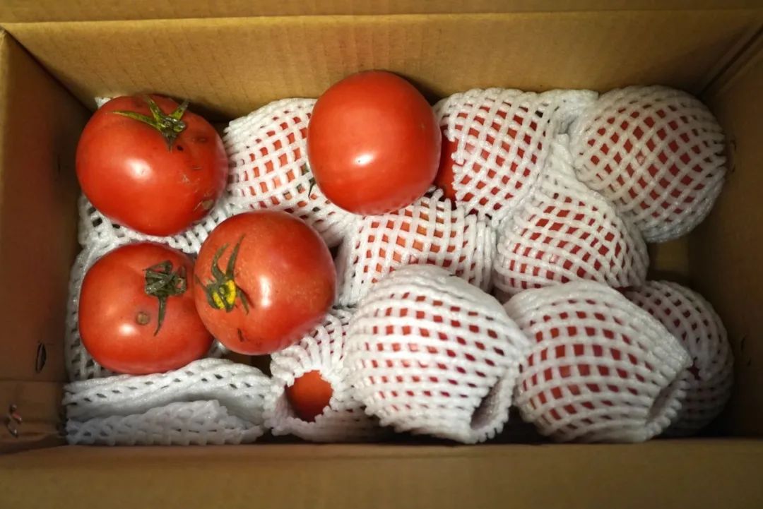 这世界上真有在拼夕夕购物而不翻车的人吗？