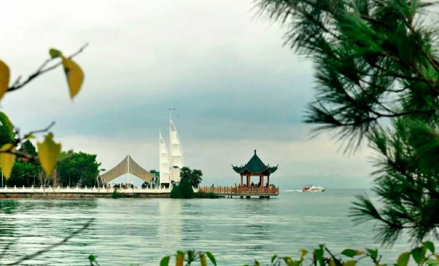 读万卷书行万里路畅游书海,读万卷书行万里路研学视频