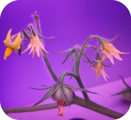 像嫦娥五号一样，去“月宫”挖土！这些学校的劳动课堂爱了爱了！