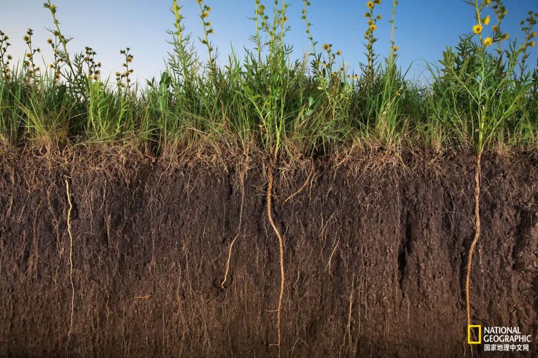 土这种物质，可太冤了