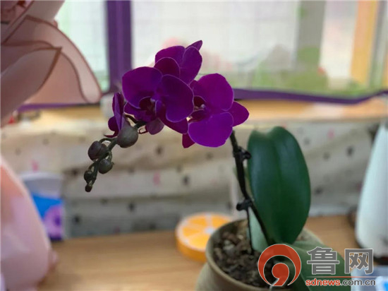 淄博六中“90后”班主任王新蕾：坐着轮椅守护学生