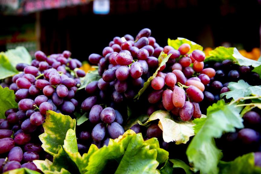 冬天感受阳光的味道,冬天到凉山