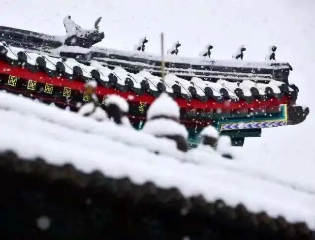 嗨游青岛悦享冬季蓝海,青岛嗨玩攻略