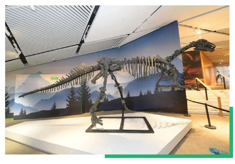 嗨游青岛享悦冬季|美妙的科创海洋之旅，解锁冬日遛娃新玩法！（文末福利）