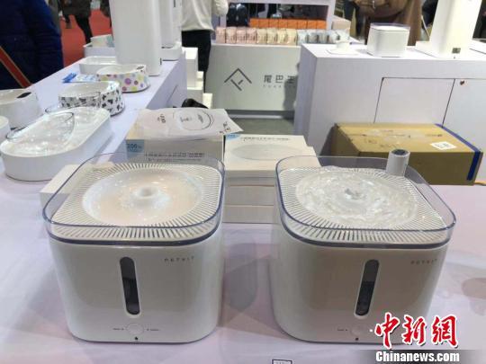 猫咪铲屎官的呼唤,猫咪听铲屎官的召唤