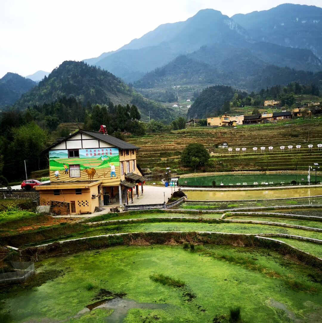 武隆2012年到现在的乡村振兴,武隆乡村振兴规划方案