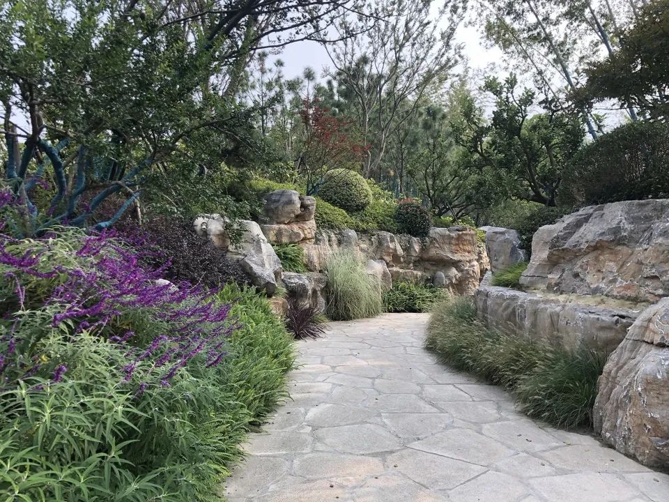 缓解城市热岛效应的措施,缓解城市热岛效应的有效建议