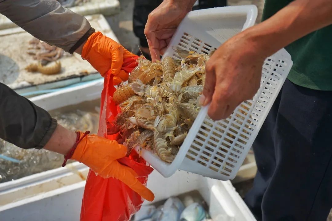 2020再见2021你好元旦快乐,2021再见2022你好元旦快乐