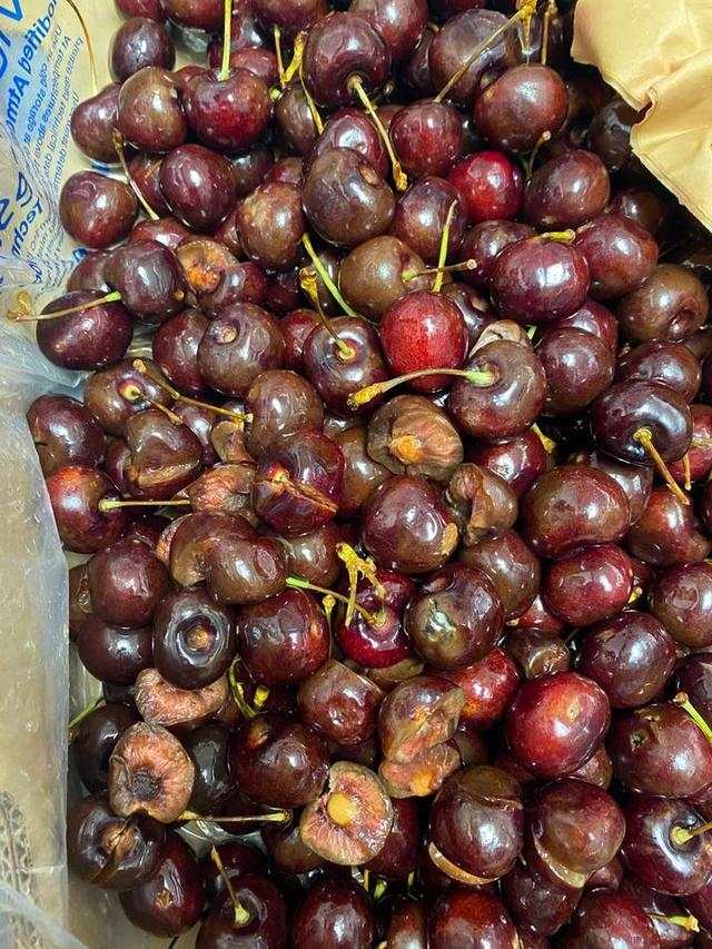 董董飞澳洲-董董待在家里守阵地-董董要失业-董董，2020年一个朋友圈名字的心酸历程