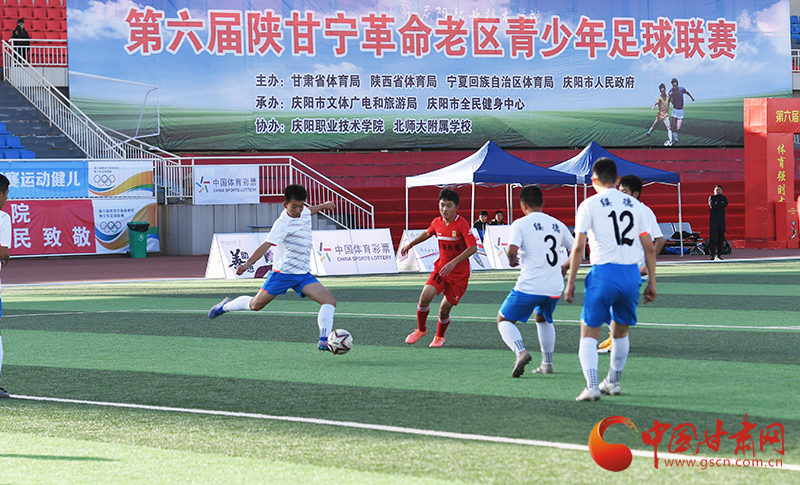 甘肃体育高质量发展意见,聚力打造高质量发展新动能