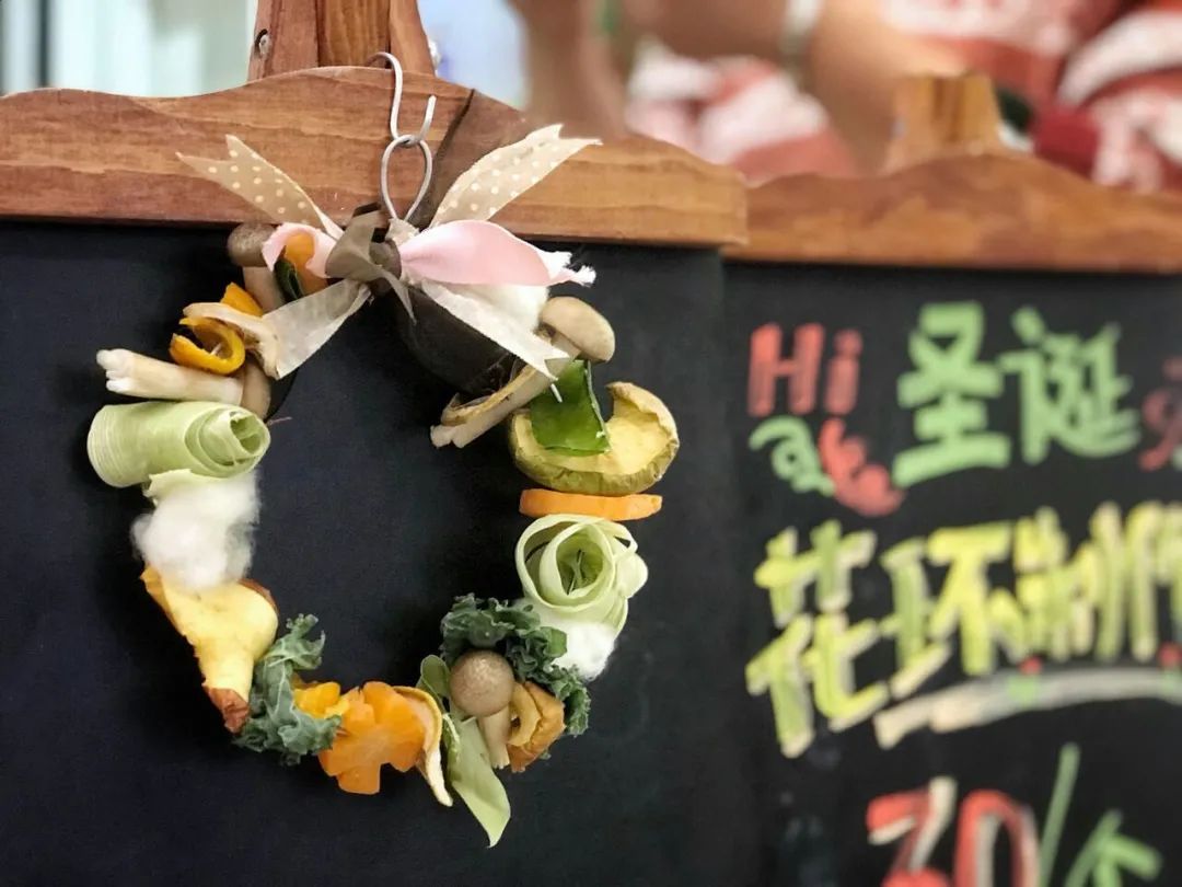 科普植物的用处,科普植物活动