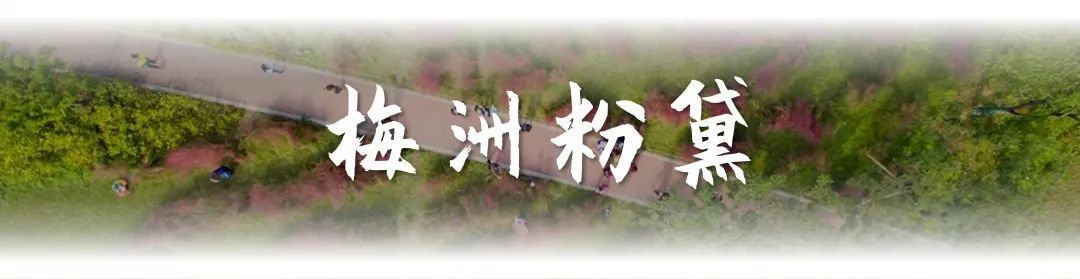 一文看遍大美南京河西，锦绣建邺