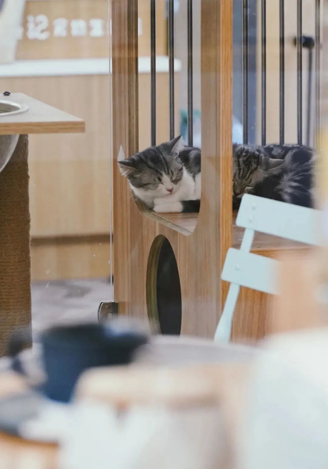 一杯coffee加“滨”，谢谢！