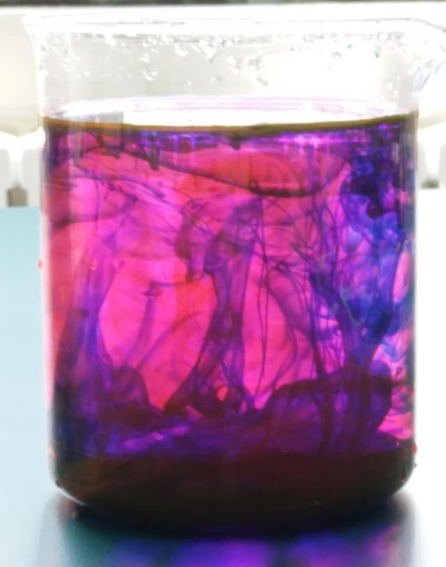 烟台港城中学：社团汇报精彩纷呈，校园生活绚丽多姿