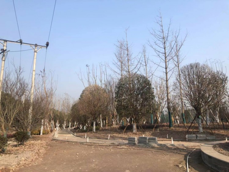 高家坝足球公园,达州高家坝足球公园