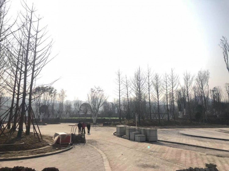 高家坝足球公园什么时候完工,高家坝足球公园足球场对外开放吗