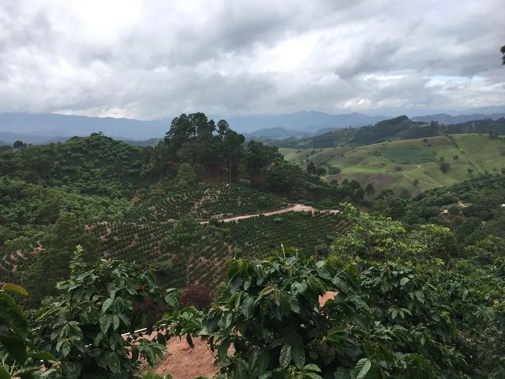 福布斯生活|illy咖啡主席AndreaIlly:我们要为世界提供最好的咖啡