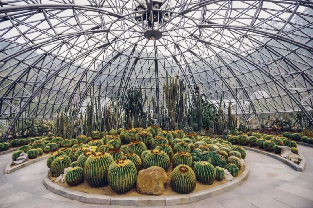 深圳值得打卡拍照的地方10月份,深圳绝美打卡地三月份