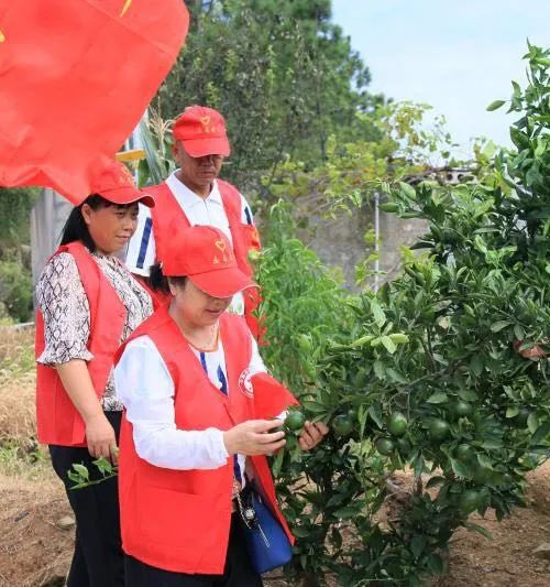 最美基层妇联人展播,妇联最美女性人才